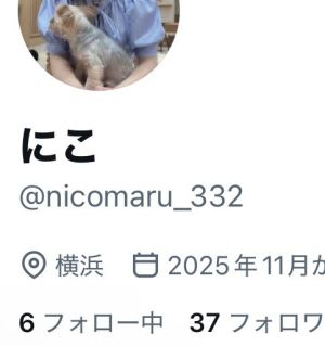 にこさん